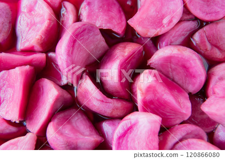 渥巳敦美 120866080