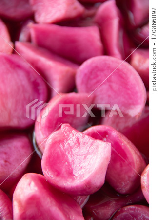 渥巳敦美 120866092