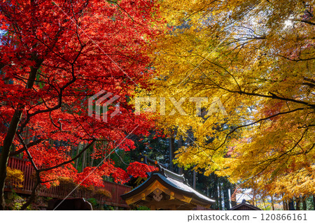 Zuihoden with beautiful autumn leaves Zuihoden with beautiful autumn leaves 120866161