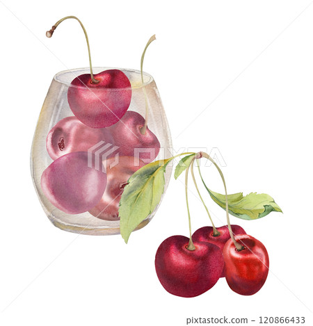 Sweet sour red cherry berries in glass, hand drawn in watercolor, ripe cerise with leaves, stems. Composition illustration isolated on white. For restaurant, cafe dessert menu, wedding, farmers market 120866433
