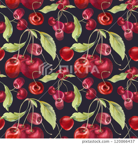 Sweet sour red cherry with green leaves, hand drawn in watercolor, garden berry in group clusters on branches. Seamless pattern wallpaper illustration. Restaurant, cafe menu, wedding, farmers market. Sweet sour red cherry with green leaves, hand drawn in watercolor, garden berry in group clusters on branches. Seamless pattern wallpaper illustration. Restaurant, cafe menu, wedding, farmers market. 120866437
