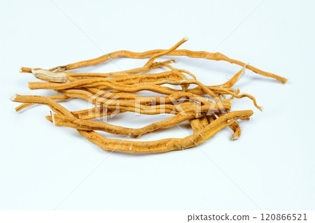 Dried roots of nettle, lat. Urtica dioica on white. 120866521