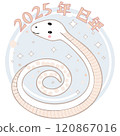 Loosely coiled white snake 120867016