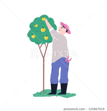 Illustrated scene with a farmer, gardener collecting the harvest. Gardening, farming, garden-themed design. 120867029
