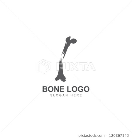 bone logo icon vector design bone logo icon vector design 120867343
