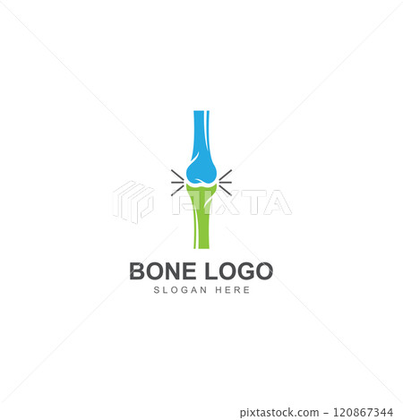 bone logo icon vector design bone logo icon vector design 120867344