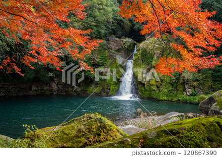 Autumn foliage at Kannon Falls (Satsuma Town) Autumn foliage at Kannon Falls (Satsuma Town) 120867390