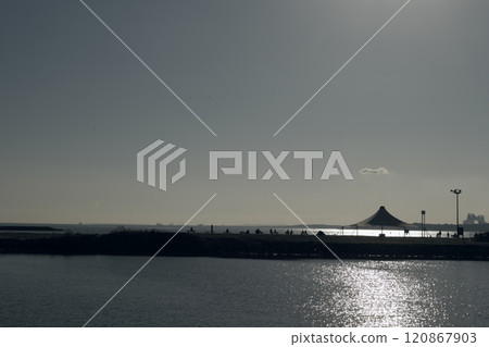 葛西臨海公園的剪影風景 葛西臨海公園的剪影風景 120867903