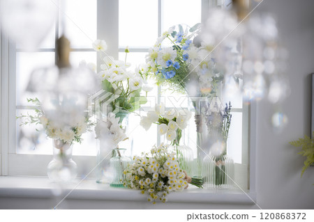 White and light blue flowers on the windowsill in the room 120868372