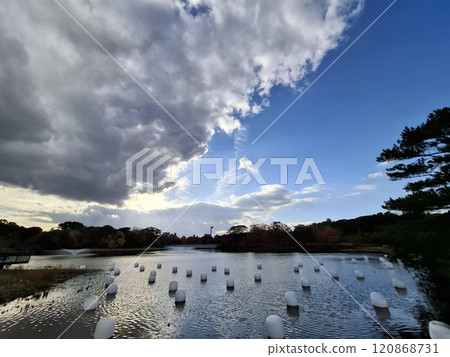 Pond and December sky 120868731