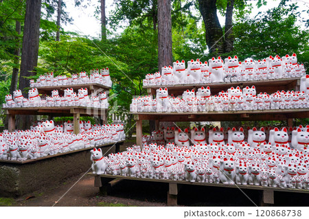 豪德寺招財貓（東京都世田谷區） 120868738