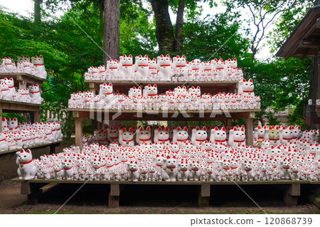 Gotokuji Temple Maneki Neko (Setagaya, Tokyo) 120868739