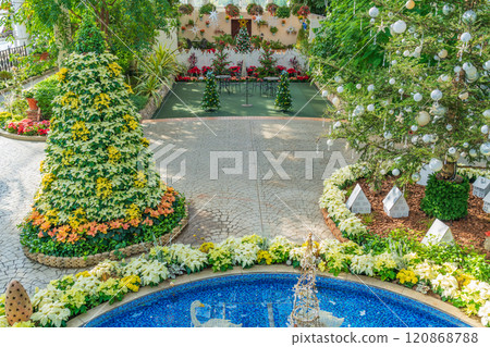 Hamamatsu Flower Park in winter, Christmas display (Hamamatsu City, Shizuoka Prefecture) Hamamatsu Flower Park in winter, Christmas display (Hamamatsu City, Shizuoka Prefecture) 120868788