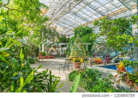 Hamamatsu Flower Park in winter, Christmas display (Hamamatsu City, Shizuoka Prefecture) 120868789