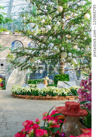 Hamamatsu Flower Park in winter, Christmas display (Hamamatsu City, Shizuoka Prefecture) 120868795