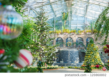 Hamamatsu Flower Park in winter, Christmas display (Hamamatsu City, Shizuoka Prefecture) Hamamatsu Flower Park in winter, Christmas display (Hamamatsu City, Shizuoka Prefecture) 120868802