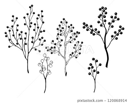 Set silhouette Winterberry Holly Set silhouette Winterberry Holly 120868914
