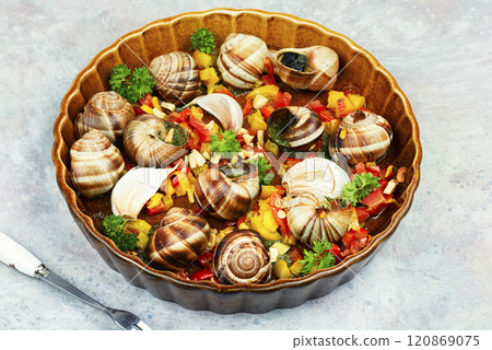 Edible stuffed grape snails, French cuisine. 120869075