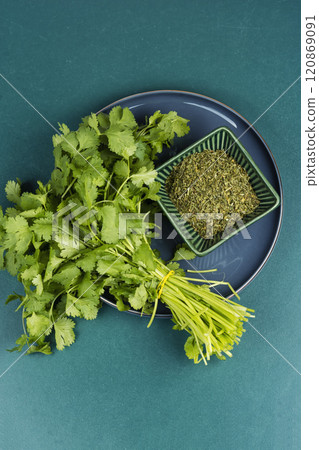Cilantro herb leaf 120869091