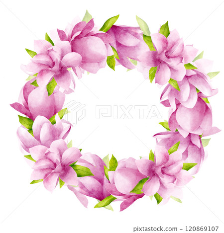 Beautiful magnolias in pink color with leaves. Hand drawn watercolor illustration. Wreath, circle frame on a white background empty for text 120869107