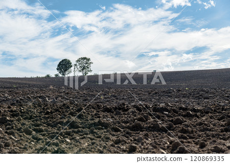 [Biei Town Parent and Child Trees and Tractor Autumn Scenery] 120869335