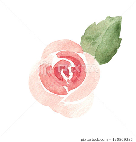 Pink Rose with Leaf. Ala Prima Simple painting. Watercolor abstract Hand drawn Floral illustration isolated on a white background. Flower design element for greeting, Valentine cards or wedding Pink Rose with Leaf. Ala Prima Simple painting. Watercolor abstract Hand drawn Floral illustration isolated on a white background. Flower design element for greeting, Valentine cards or wedding 120869385