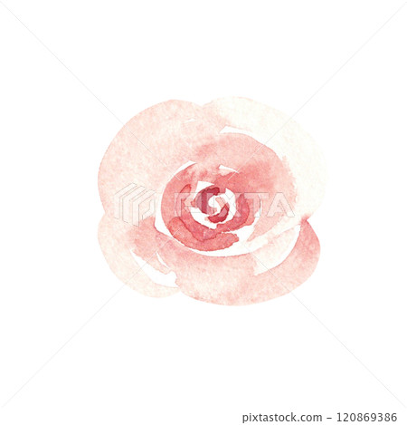 Pink Rose, Simple sketch. Watercolor abstract Hand painted Floral illustration isolated on a white background. Flower design element for greeting, Valentine cards or wedding invitations. 120869386