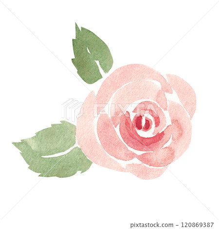 Pink Rose with Leaves in Simple style. Watercolor abstract Hand painted Floral illustration isolated on a white background. Flower design element for greeting, Valentine cards or wedding invitations. Pink Rose with Leaves in Simple style. Watercolor abstract Hand painted Floral illustration isolated on a white background. Flower design element for greeting, Valentine cards or wedding invitations. 120869387