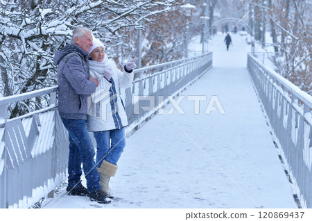 An elderly couple walks in a winter park 120869437