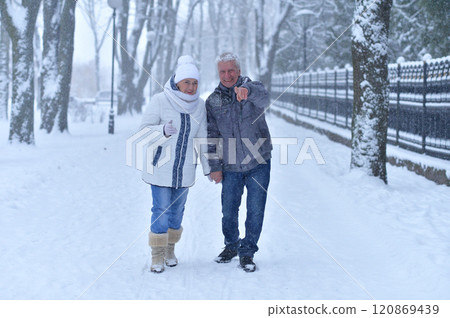 An elderly couple walks in a winter park 120869439