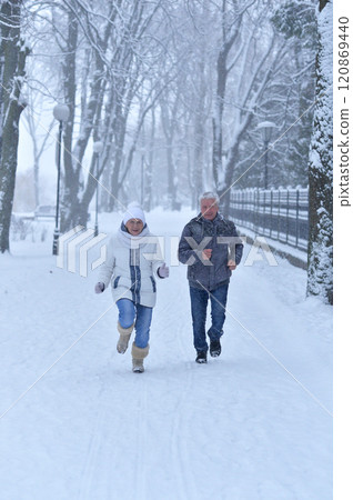 An elderly couple walks in a winter park An elderly couple walks in a winter park 120869440