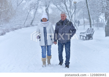 An elderly couple walks in a winter park 120869441