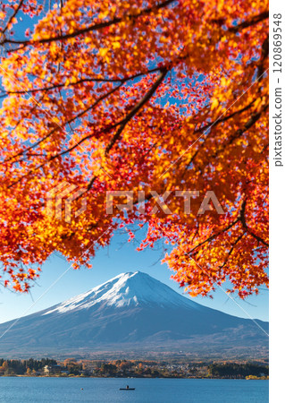「山梨縣」河口湖和富士山的紅葉 「山梨縣」河口湖和富士山的紅葉 120869548