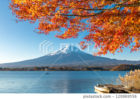 "Yamanashi Prefecture" Lake Kawaguchi and Mt. Fuji in autumn "Yamanashi Prefecture" Lake Kawaguchi and Mt. Fuji in autumn 120869556