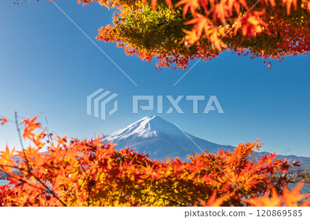 「山梨縣」河口湖和富士山的紅葉 「山梨縣」河口湖和富士山的紅葉 120869585