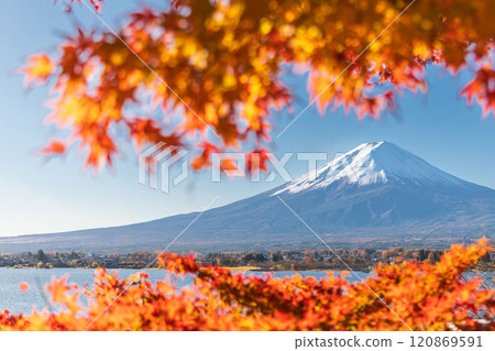 「山梨縣」河口湖和富士山的紅葉 「山梨縣」河口湖和富士山的紅葉 120869591