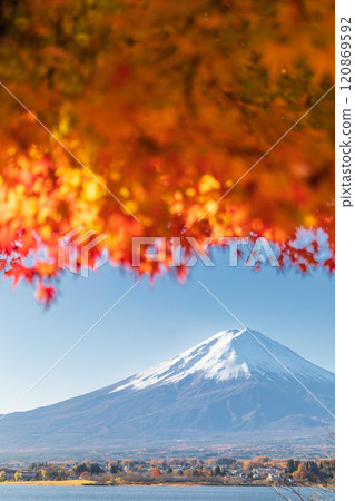 "Yamanashi Prefecture" Lake Kawaguchi and Mt. Fuji in autumn 120869592