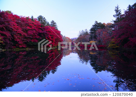秋天的輕井澤/雲場池 秋天的輕井澤/雲場池 120870040