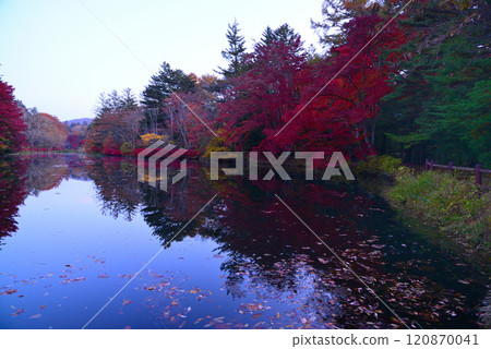 Autumn in Karuizawa, Kumoba Pond Autumn in Karuizawa, Kumoba Pond 120870041