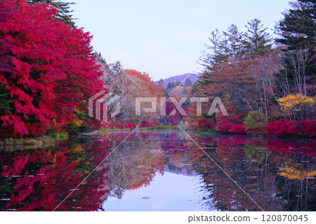 Autumn in Karuizawa, Kumoba Pond 120870045