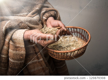 Farmer holds a sieve in his hands and sifts grain Farmer holds a sieve in his hands and sifts grain 120870308