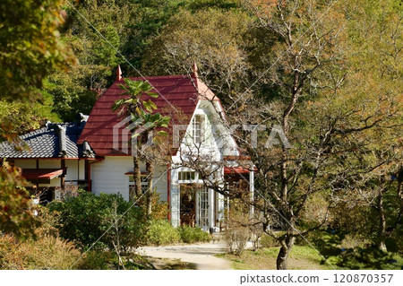 小月和梅的房子被秋葉包裹著 120870357