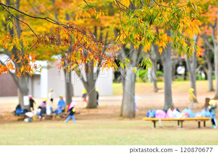 Kindergarten children playing in a park with beautiful autumn leaves Kindergarten children playing in a park with beautiful autumn leaves 120870677