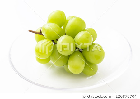 Shine Muscat on white background Shine Muscat on white background 120870704