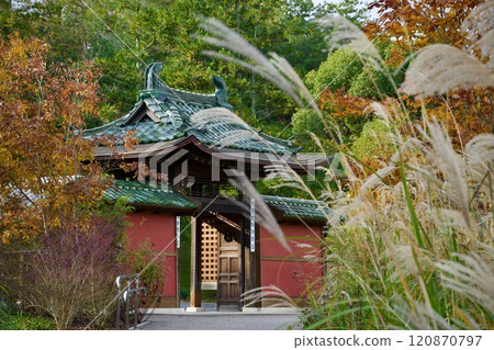 Scenery with Ina-ro-mon Gate and Japanese silver grass 120870797