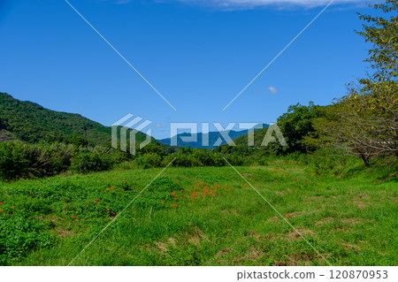 藍天下的三重縣綠意盎然的風景 藍天下的三重縣綠意盎然的風景 120870953