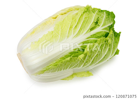 Cabbage Cabbage 120871075