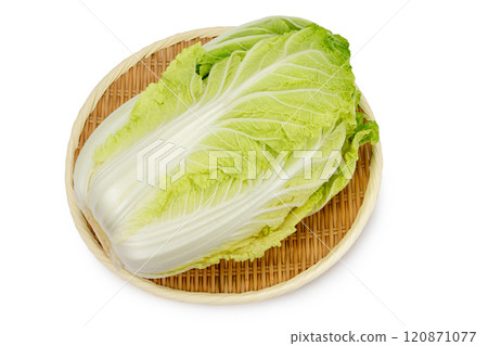Chinese cabbage on a colander Chinese cabbage on a colander 120871077
