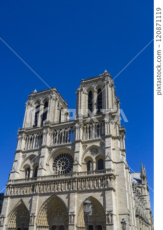 Paris Notre Dame Cathedral 120871119