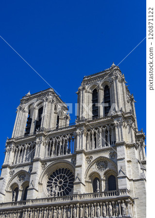 Paris Notre Dame Cathedral 120871122